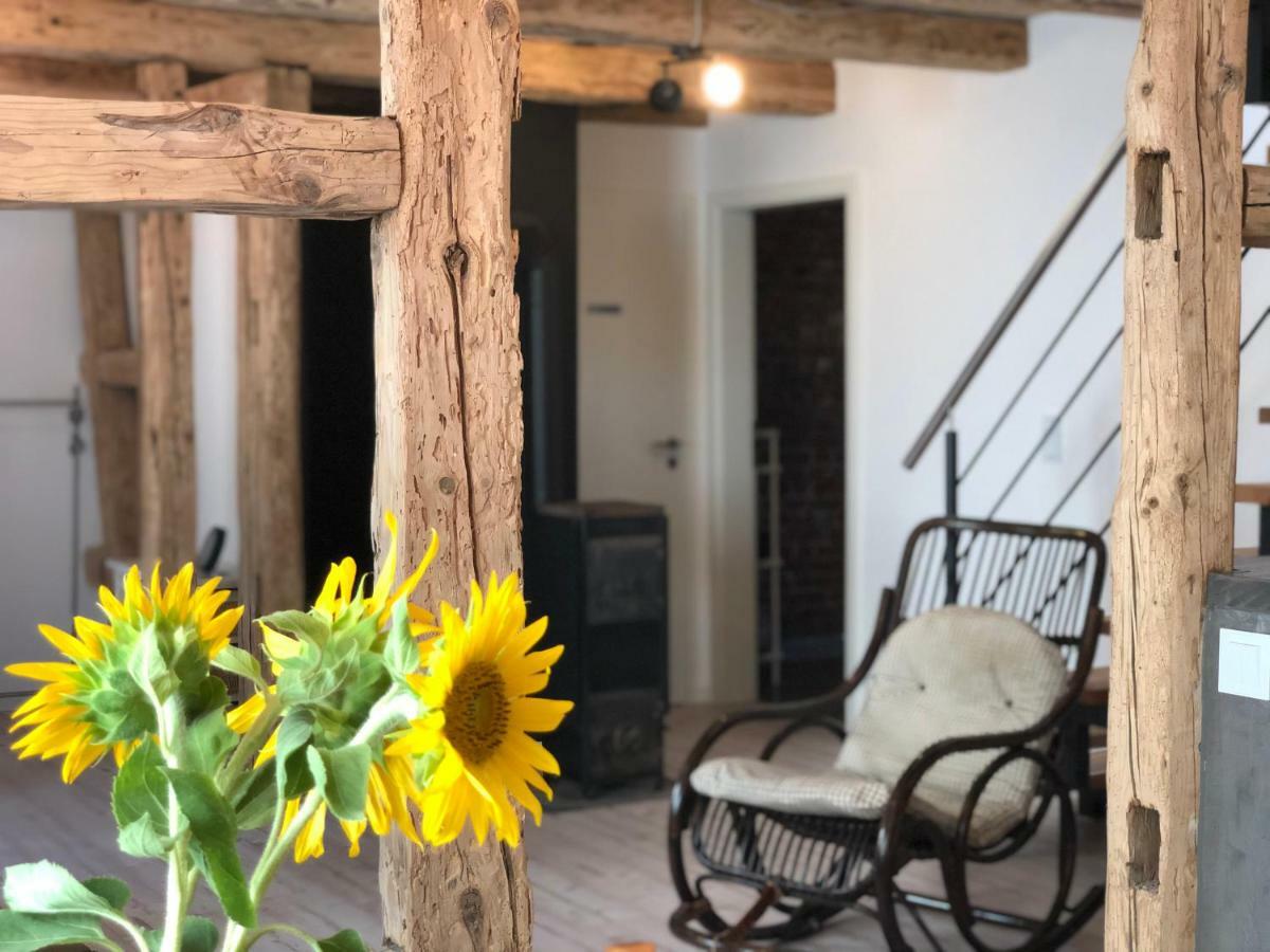 Ferienhaus Paradiso 特克下的基希海姆 外观 照片